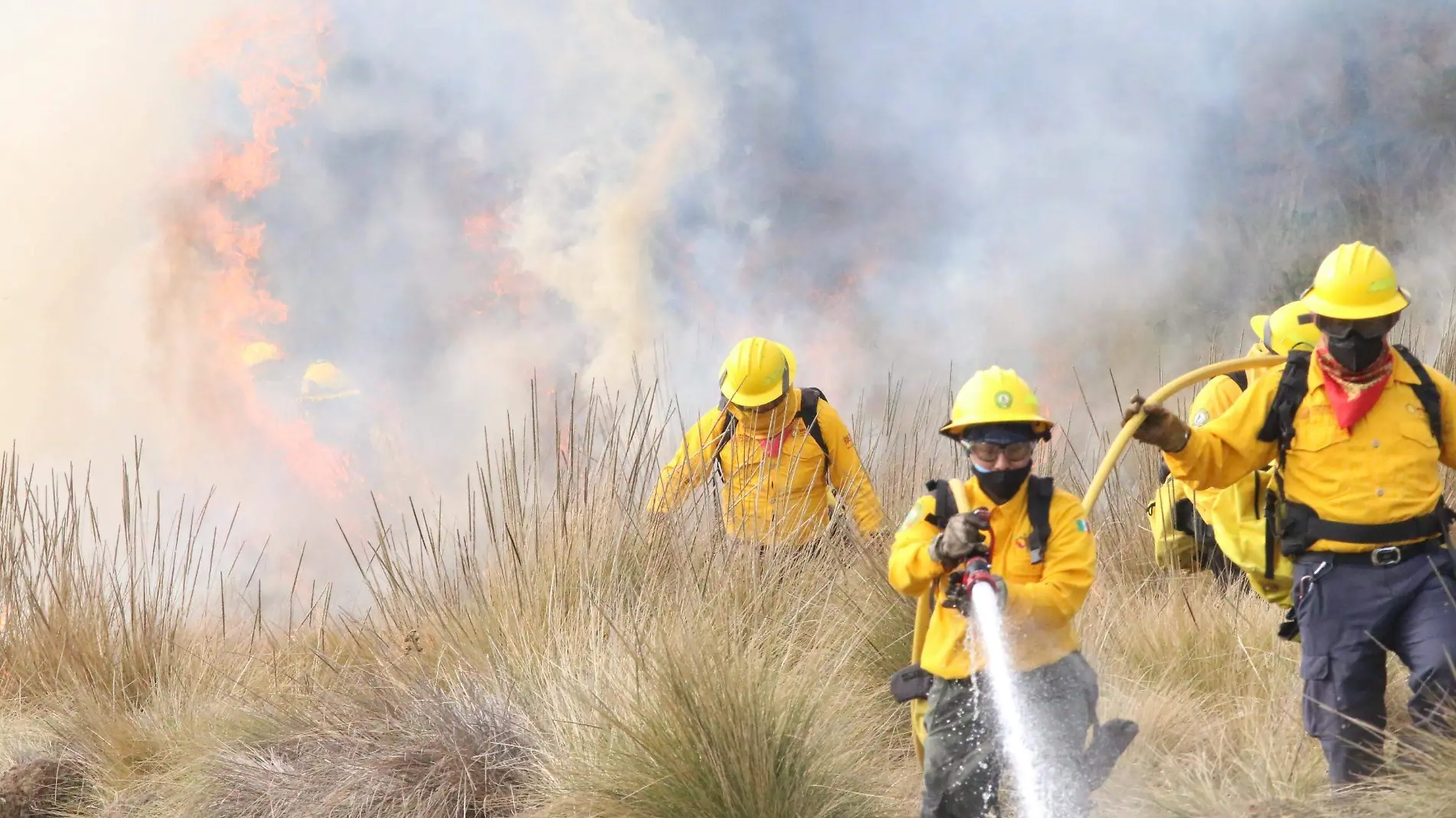 DAVID-INCENDIOS FORESTALES (1)